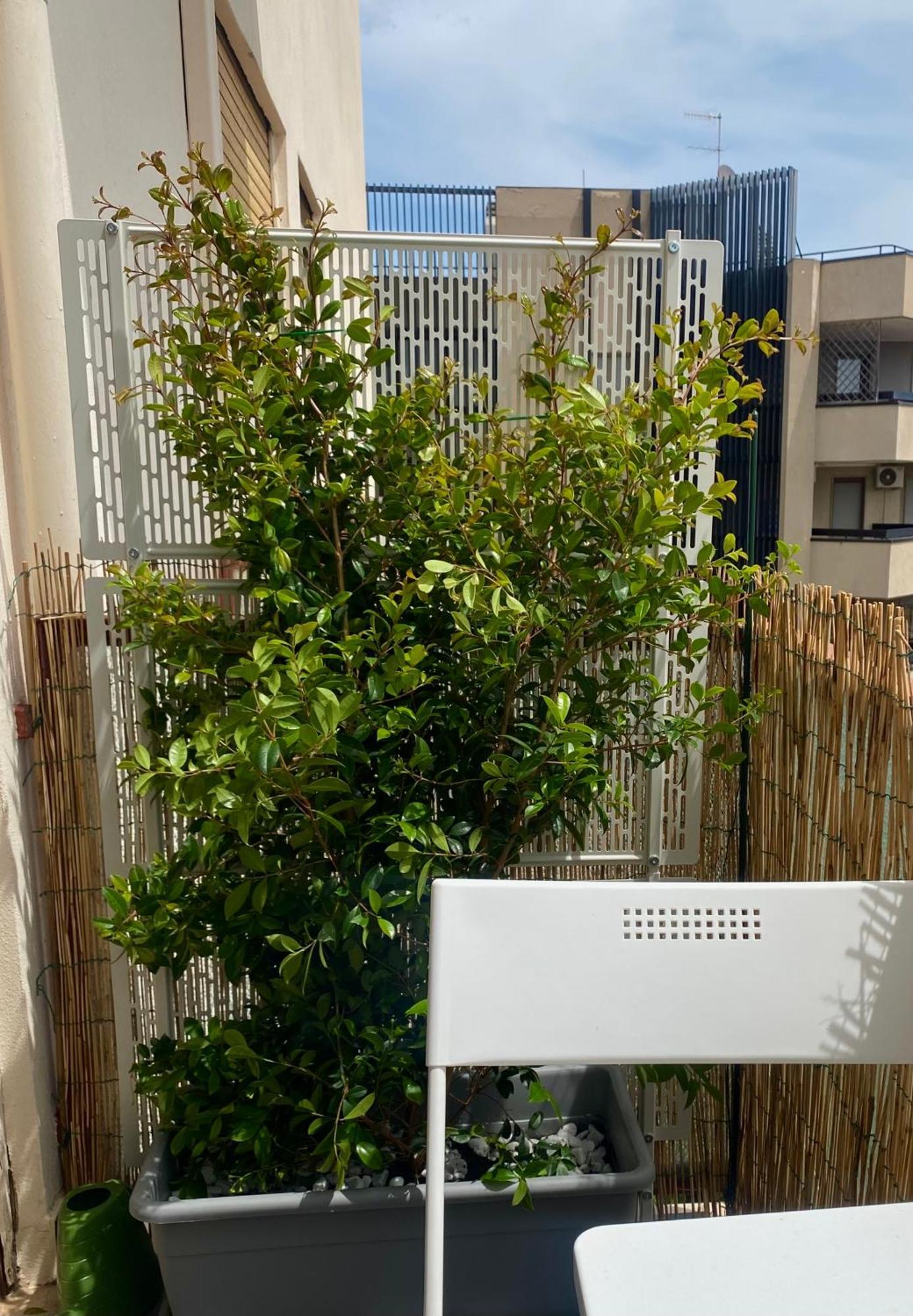 סאסארי Via Roma A Un Passo Dalle Universita! מראה חיצוני תמונה